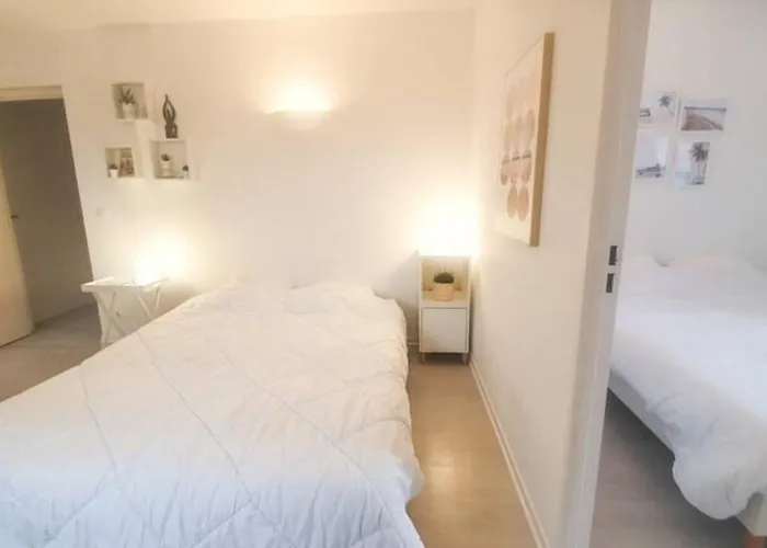 Avec Piscine, 100m Et Hypercentre Apartmán