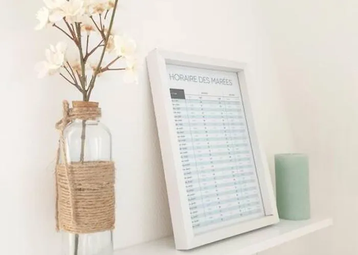 Avec Piscine, 100m Et Hypercentre Apartmán