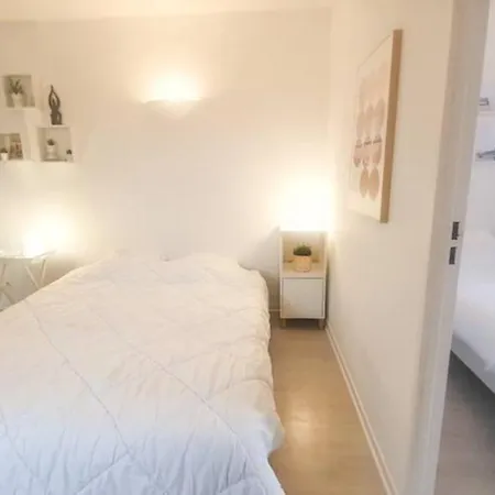 Avec Piscine, 100m Et Hypercentre Apartment