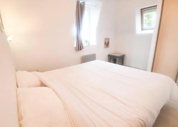 Avec Piscine, 100m Et Hypercentre Lejlighed *